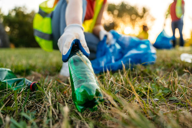 Yard Cleanup Services in Reidsville, GA